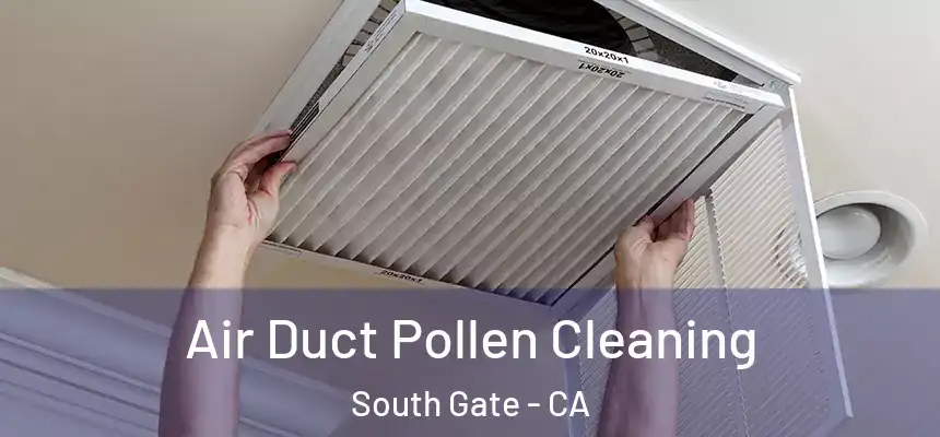 Air Duct Pollen Cleaning South Gate - CA