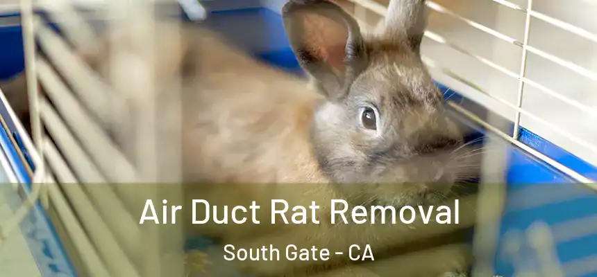 Air Duct Rat Removal South Gate - CA