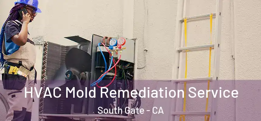 HVAC Mold Remediation Service South Gate - CA