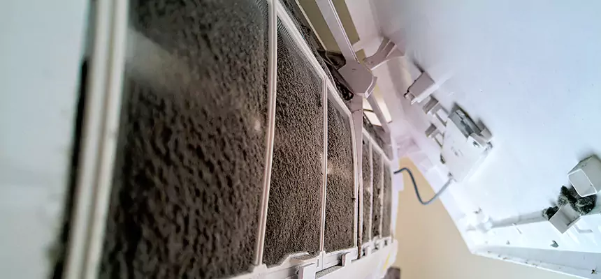 Preventive Air Duct Bacteria Removal in South Gate