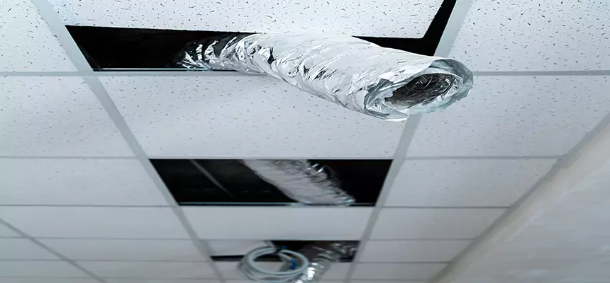 Our Air Duct Pet Hair Removal Services in South Gate, CA