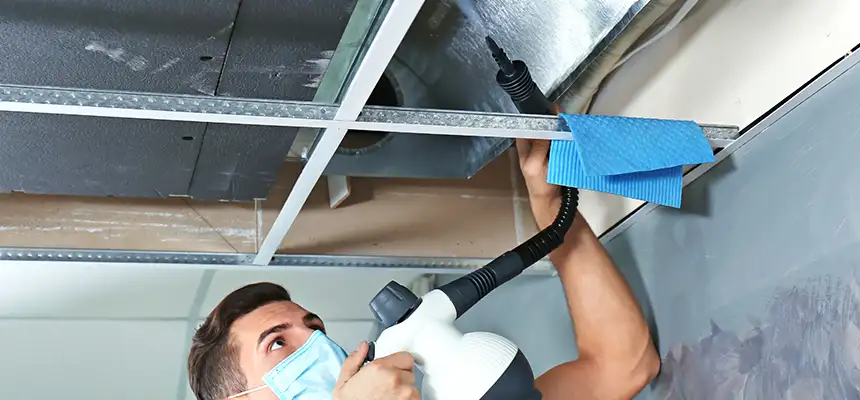 Our Air Duct Rodent Removal Services in South Gate, CA