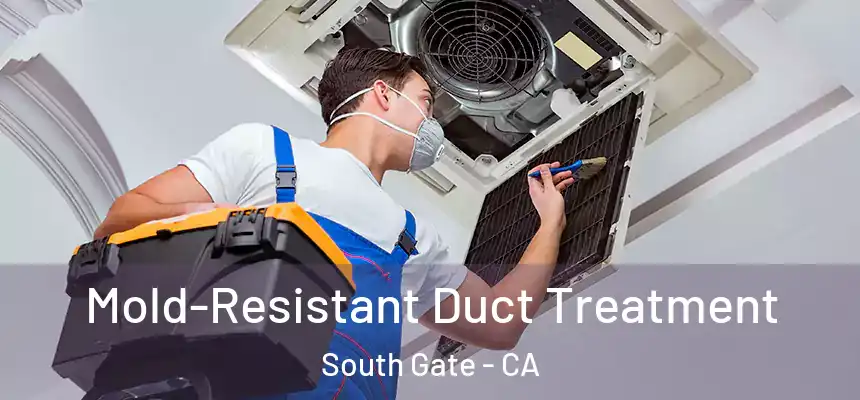 Mold-Resistant Duct Treatment South Gate - CA