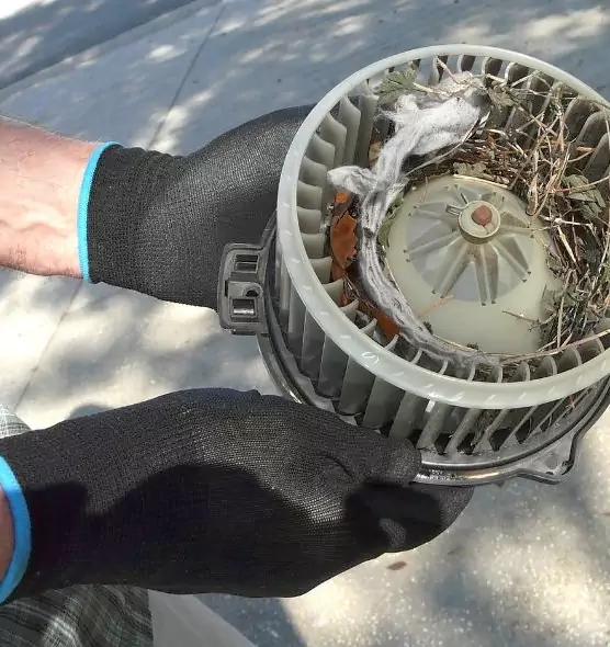 About Air Duct Mice Removal in South Gate, CA