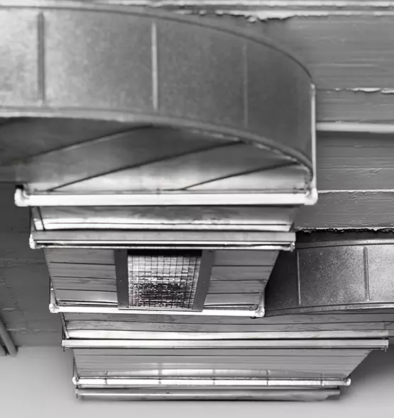 Professional Air Duct Pest Removal in South Gate, CA