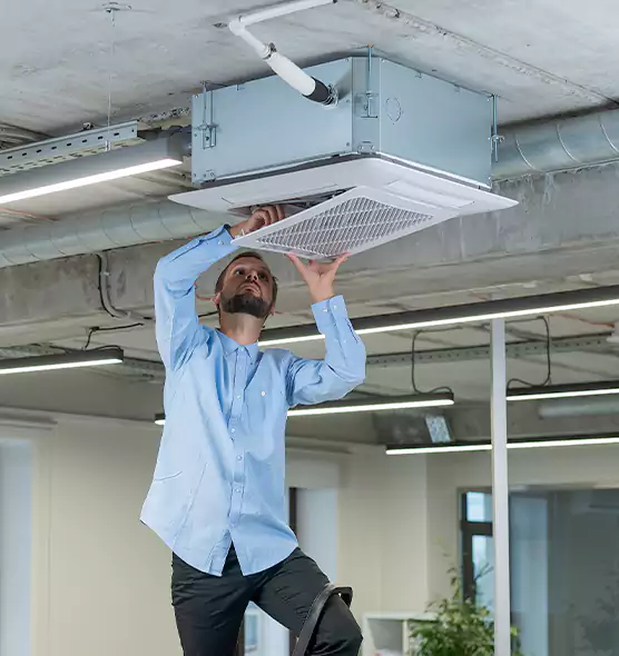 Advanced Rodent Droppings In Vents in South Gate, CA