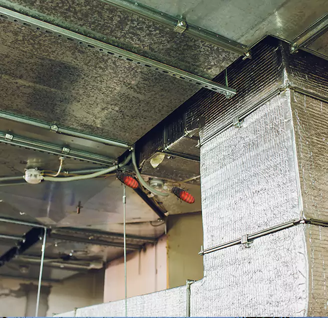 Why Homeowners & Businesses Trust Us in South Gate, CA?