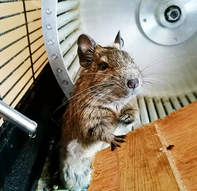 Why Homeowners & Businesses Trust Us South Gate, CA