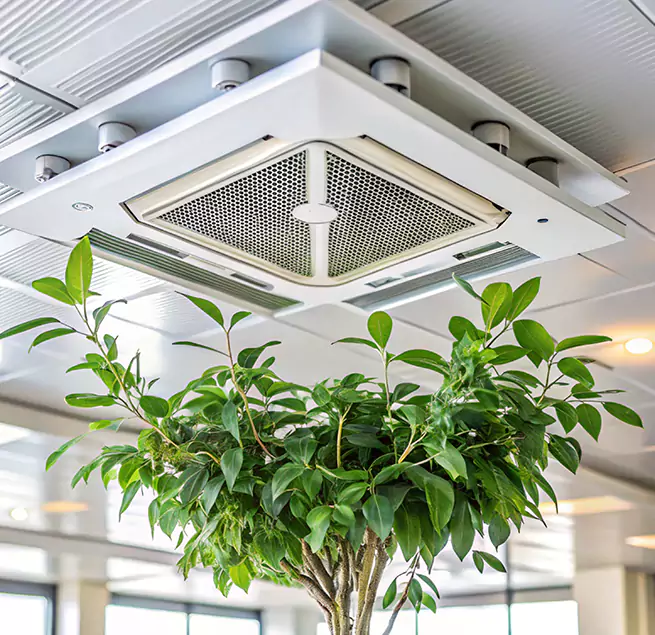 Why Homeowners & Businesses Trust Us in South Gate, CA?