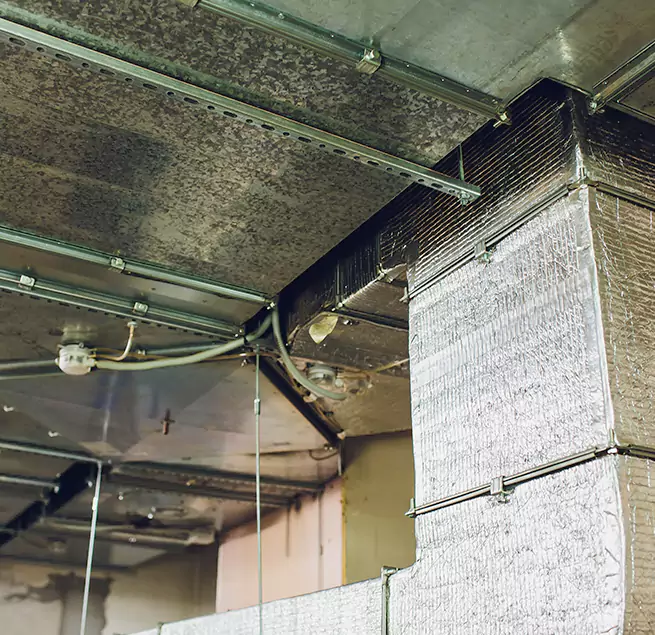 Why Homeowners & Businesses Trust Us in South Gate, CA?